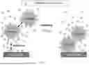 Fig. 02 - METHOD FOR FORMING ASSEMBLED NANOMATERIAL COATING BY SOLUTE-ASSISTED ASSEMBLY, AND RESULTING PRODUCTS