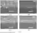 Fig. 06 - METHOD FOR FORMING ASSEMBLED NANOMATERIAL COATING BY SOLUTE-ASSISTED ASSEMBLY, AND RESULTING PRODUCTS