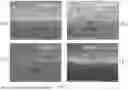 Fig. 08 - METHOD FOR FORMING ASSEMBLED NANOMATERIAL COATING BY SOLUTE-ASSISTED ASSEMBLY, AND RESULTING PRODUCTS
