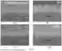 Fig. 09 - METHOD FOR FORMING ASSEMBLED NANOMATERIAL COATING BY SOLUTE-ASSISTED ASSEMBLY, AND RESULTING PRODUCTS