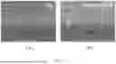 Fig. 10 - METHOD FOR FORMING ASSEMBLED NANOMATERIAL COATING BY SOLUTE-ASSISTED ASSEMBLY, AND RESULTING PRODUCTS