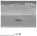 Fig. 12 - METHOD FOR FORMING ASSEMBLED NANOMATERIAL COATING BY SOLUTE-ASSISTED ASSEMBLY, AND RESULTING PRODUCTS