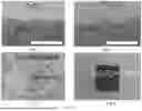 Fig. 19 - METHOD FOR FORMING ASSEMBLED NANOMATERIAL COATING BY SOLUTE-ASSISTED ASSEMBLY, AND RESULTING PRODUCTS