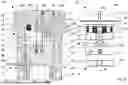 Fig. 04 - FORMING PUNCHING APPARATUS