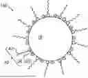 Fig. 01 - GOLD NANOPARTICLE-CONTAINING COMPOSITION, GOLD NANOPARTICLE-CONTAINING COMPOSITION DISPERSION, INK, AND TONER