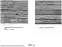 Fig. 06 - METHOD OF MANUFACTURING AN IMPROVED ORIENTED STRAND BOARD PANEL
