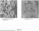 Fig. 07 - METHOD OF MANUFACTURING AN IMPROVED ORIENTED STRAND BOARD PANEL