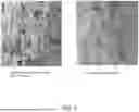 Fig. 08 - METHOD OF MANUFACTURING AN IMPROVED ORIENTED STRAND BOARD PANEL