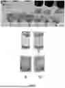 Fig. 06 - SOLVENT-BASED PLASTIC RECYCLING METHOD TO REMOVE INKS AND PRODUCE CLEAR FILMS