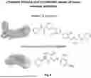 Fig. 09 - SOLVENT-BASED PLASTIC RECYCLING METHOD TO REMOVE INKS AND PRODUCE CLEAR FILMS
