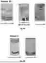 Fig. 10 - SOLVENT-BASED PLASTIC RECYCLING METHOD TO REMOVE INKS AND PRODUCE CLEAR FILMS