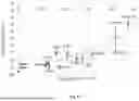 Fig. 19 - SOLVENT-BASED PLASTIC RECYCLING METHOD TO REMOVE INKS AND PRODUCE CLEAR FILMS
