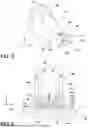 Fig. 06 - SYSTEMS AND METHODS FOR ADDITIVE MANUFACTURING