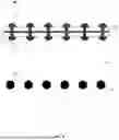 Fig. 06 - ADHESION MOLD LOCKING FASTENER