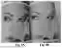 Fig. 09 - PRINTING FORMULATIONS AND METHODS