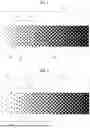 Fig. 02 - FLEXOGRAPHIC PRINTING PLATE AND METHOD FOR MANUFACTURING SAME