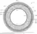 Fig. 01 - SELF-SUPPORTING SPOKE STRUCTURE FOR NON-PNEUMATIC TIRE