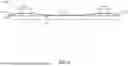 Fig. 07 - WIPER BEAM BLADE ASSEMBLY WITH SUPPORT STRUCTURE