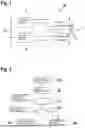 Fig. 02 - METHOD FOR OPERATING A BRAKING SYSTEM AND BRAKING SYSTEM