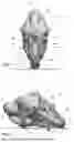Fig. 02 - MOTORCYCLE WITH GROUND EFFECT FAIRING