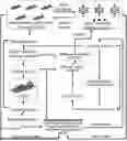 Fig. 01 - METHOD AND SYSTEM FOR FORMATION CONTROL FOR UNMANNED SURFACE VESSEL SWARM VIA COLLABORATIVE EXPLORATION DEEP REINFORCEMENT LEARNING (CEDRL)
