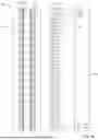 Fig. 10 - CLOSURE SYSTEM FOR POUCH OR CONTAINER