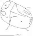 Fig. 08 - MOUTH GUARD CASE INCLUDING COMPARTMENT FOR STORING AND DISPENSING CLEANING SOLUTION