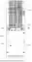 Fig. 06 - WATER DISPENSER