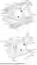 Fig. 02 - DRINKING APPARATUS
