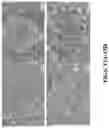 Fig. 14 - METHODS AND PROCESSES FOR THE USE OF CALCIUM- AND MAGNESIUM-BEARING OXIDES, HYDROXIDES, AND SILICATES; CALCIUM- AND MAGNESIUM-BEARING AQUEOUS STREAMS TO CAPTURE, CONVERT, AND STORE CARBON DIOXIDE AND PRODUCE HYDROGEN