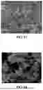 Fig. 18 - METHODS AND PROCESSES FOR THE USE OF CALCIUM- AND MAGNESIUM-BEARING OXIDES, HYDROXIDES, AND SILICATES; CALCIUM- AND MAGNESIUM-BEARING AQUEOUS STREAMS TO CAPTURE, CONVERT, AND STORE CARBON DIOXIDE AND PRODUCE HYDROGEN