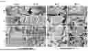 Fig. 05 - EFFECTIVE CALCIUM PHOSPHATE RADIATIVE COOLING MATERIALS