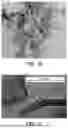 Fig. 09 - GRAPHENIC CARBON PARTICLES