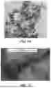 Fig. 13 - GRAPHENIC CARBON PARTICLES