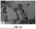 Fig. 17 - GRAPHENIC CARBON PARTICLES