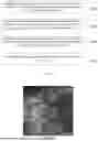 Fig. 02 - PREPARATION METHOD FOR SILICON DIOXIDE AEROGEL AND SILICON DIOXIDE AEROGEL