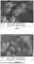 Fig. 04 - METHODS OF INCREASING THE RATE OF PHASE CONVERSION AND USE OF CARBOXYLATE-CONTAINING SUBSTANCES