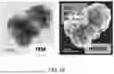 Fig. 08 - PRODUCTION OF NANOCHALCOGENIDES FOR USE IN ELECTROCATALYSIS