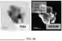 Fig. 13 - PRODUCTION OF NANOCHALCOGENIDES FOR USE IN ELECTROCATALYSIS