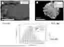 Fig. 15 - PRODUCTION OF NANOCHALCOGENIDES FOR USE IN ELECTROCATALYSIS