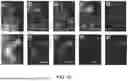 Fig. 52 - PRODUCTION OF NANOCHALCOGENIDES FOR USE IN ELECTROCATALYSIS