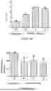 Fig. 09 - DEVICE FOR FILTERING AND PURIFYING GREYWATER OR OTHER WASTEWATER TO GENERATE A NEW, CLEAN AND SAFE WATER SOURCE BY MEANS OF A BIOLOGICAL FILTER