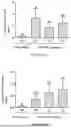 Fig. 13 - DEVICE FOR FILTERING AND PURIFYING GREYWATER OR OTHER WASTEWATER TO GENERATE A NEW, CLEAN AND SAFE WATER SOURCE BY MEANS OF A BIOLOGICAL FILTER