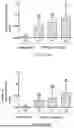 Fig. 14 - DEVICE FOR FILTERING AND PURIFYING GREYWATER OR OTHER WASTEWATER TO GENERATE A NEW, CLEAN AND SAFE WATER SOURCE BY MEANS OF A BIOLOGICAL FILTER