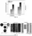 Fig. 20 - WATER TREATMENT SYSTEM USING A MAGNETIC CONFINEMENT METHOD