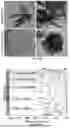 Fig. 33 - WATER TREATMENT SYSTEM USING A MAGNETIC CONFINEMENT METHOD