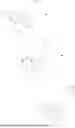Fig. 1037 - Compounds