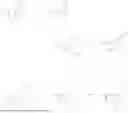 Fig. 1058 - Compounds