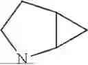 Fig. 358 - Compounds