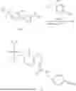 Fig. 125 - ANTIVIRAL PYRAZOLOPYRIDINONE COMPOUNDS